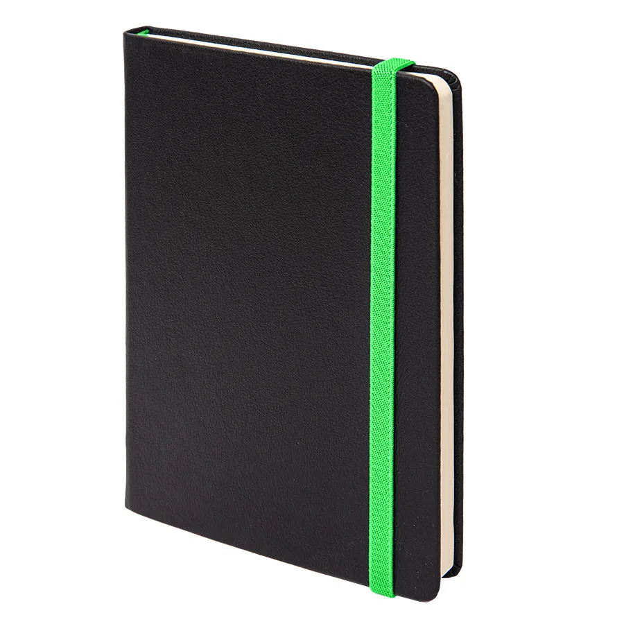 Ежедневник недатированный RAY, формат А5, в клетку