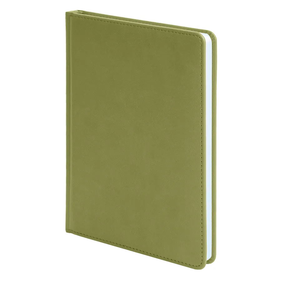 Ежедневник недатированный CAMPBELL, формат А5,  в линейку