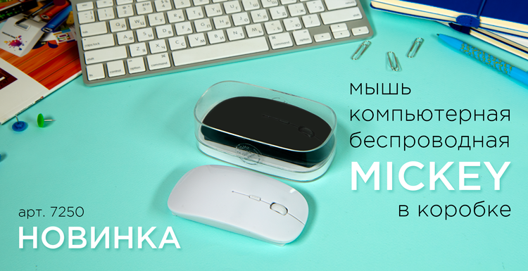 myshka-mickey.png