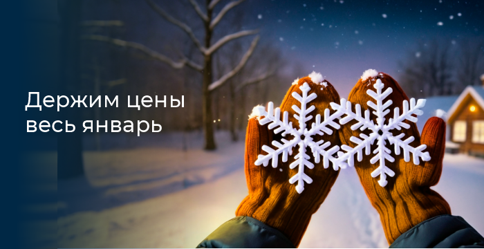 Держим цены весь январь